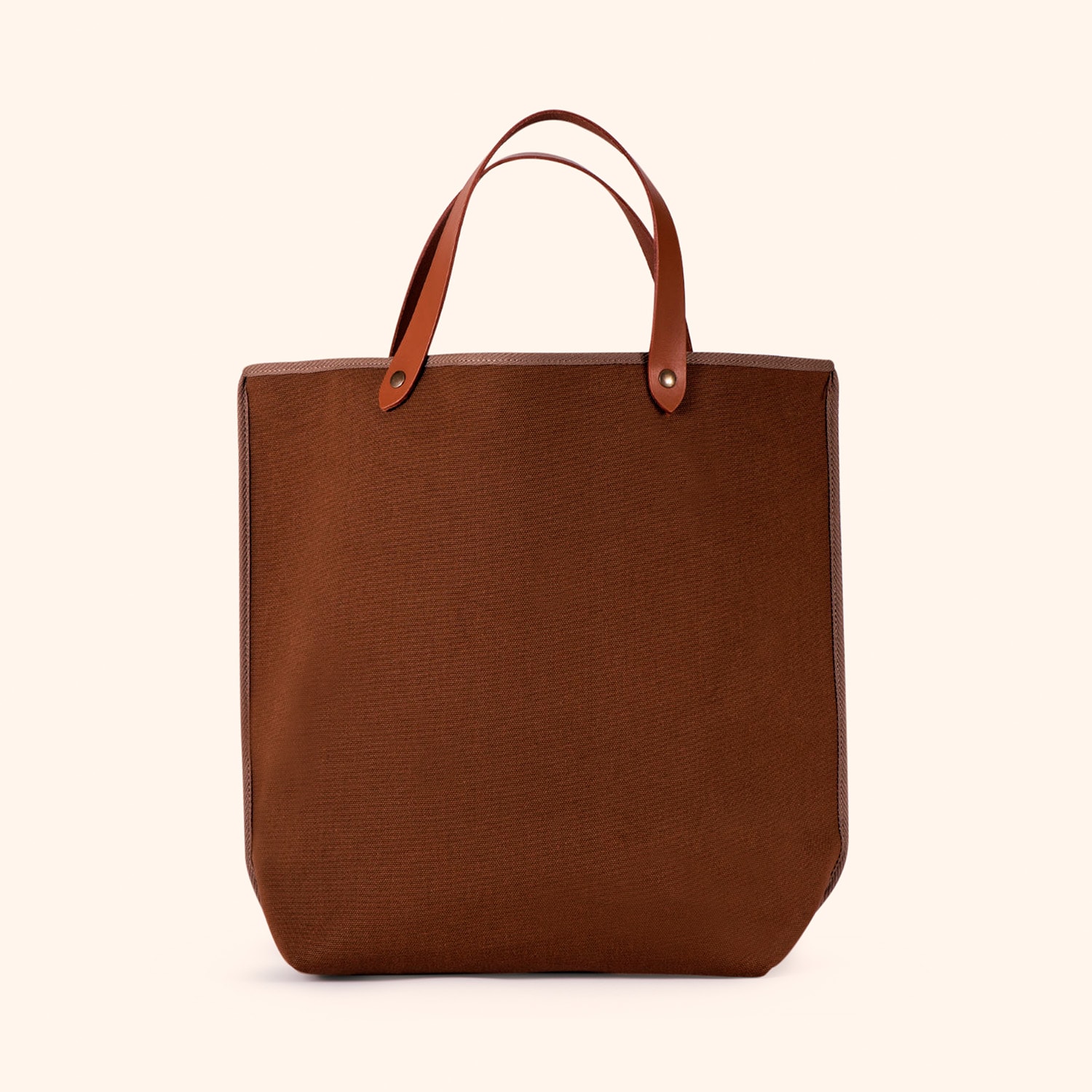 Sac Dinosaure S